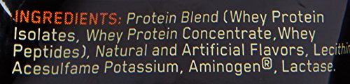 Optimum Nutrition Gold Standard 100% Whey Protein Powder, Vanilla Ice Cream, 1 Pound