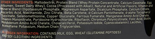 Optimum Nutrition Serious Mass Gainer Protein Powder, Chocolate, 12 Pound